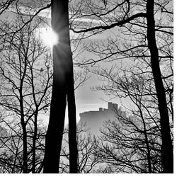 Foto Burg Trifels Winter